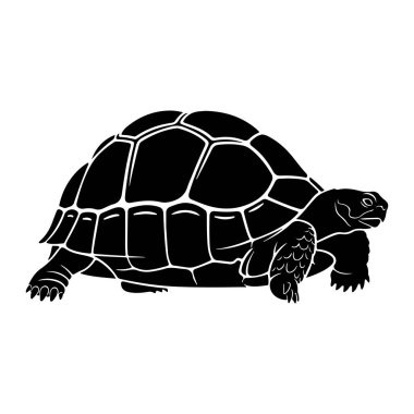 Beyaz arka planda siyah bir kaplumbağa silueti tasvir edilir. Kaplumbağanın profili gösterilir, başı açık ve bacakları görünür bir şekilde yürür. Kabuğun beyaz ile özetlenmiş ayrı bir segmentli deseni var..