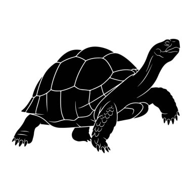 Beyaz arka planda siyah bir kaplumbağa silueti tasvir edilir. Kaplumbağa profilden gösterilir, başı açılır ve gözleri kapanır. Kabuğu beyaz çizgilerle segmentlidir ve bacakları ve pençeleri açıkça tanımlanmıştır. Genel menajerler.