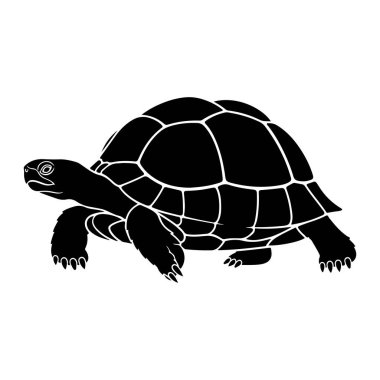 Beyaz arka planda siyah bir kaplumbağa silueti tasvir edilir. Kaplumbağa profilde, yüzü sola dönük, başı uzamış ve ayakları sanki yürüyormuş gibi pozisyonda gösteriliyor. Kabuğu beyaz çizgilerle segmentlidir ve pençeleri açıkça v 'dir.