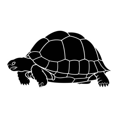 Beyaz arka planda siyah bir kaplumbağa silueti tasvir edilir. Kaplumbağa profilden gösteriliyor, soldan sağa yürüyor. Kabuğu açık ana hatlarıyla segmentlidir ve başı, bacakları ve kuyruğu görünür durumdadır. Bacakların farklı pençeleri var..