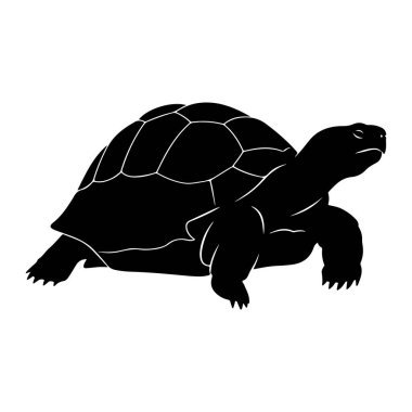 Siyah bir kaplumbağa silueti düz beyaz bir arka planda tasvir edilir. Kaplumbağa profilden gösteriliyor, soldan sağa yürüyor. Kabuğu beyazla çizilmiş segmentli plakalarla açıkça tanımlanır. Kafa yakın bir şekilde ileri doğru uzanıyor.