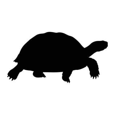 Siyah bir kaplumbağa silueti düz beyaz bir arka planda tasvir edilir. Sürüngen profilden gösteriliyor, başı öne doğru uzanıyor ve bacakları hareket ediyormuş gibi konumlandırılıyor. Kabuğunun belirgin şekli, görünür pençeli bacaklar ve elon.