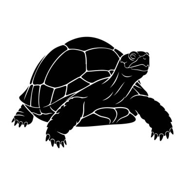 Beyaz arka planda siyah bir kaplumbağa silueti tasvir edilir. Kaplumbağa başını hafifçe kaldırmış ve ağzı açık bir şekilde öne bakıyor. Kabuğu açıkça altıgen desenlerle ve segmentleri gösteren çizgilerle tanımlanmıştır. Bacakları...