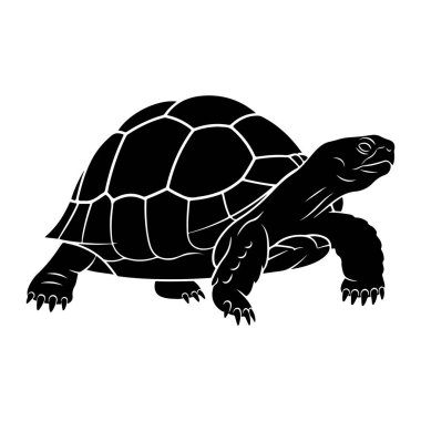 Beyaz arka planda siyah bir kaplumbağa silueti tasvir edilir. Kaplumbağanın profili gösterilir, başı açılır ve ayakları sanki yürüyormuş gibi konumlandırılır. Kabuk açıkça segmentli plakalar ile tanımlanır, ve bacaklar görünür cla