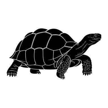 Siyah bir kaplumbağa silueti beyaz bir zemine doğru soldan sağa doğru yürürken resmedilir. Kaplumbağanın ayrıntılı bir kabuğu, segmentli plakaları ve dokulu boyun ve bacakları vardır. Kafası hafifçe sağa dönük, yüzü de görünür durumda.