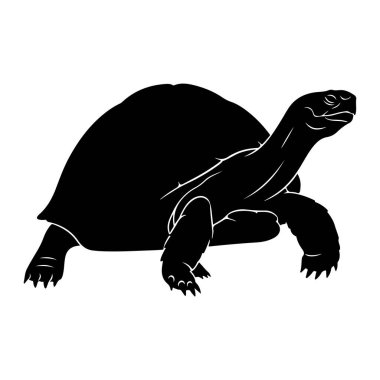Beyaz arka planda siyah bir kaplumbağa silueti tasvir edilir. Kaplumbağanın profili gösterilir, başı açılır ve bacakları hareket halindeymiş gibi konumlandırılır. Kabuk büyük ve yuvarlaktır, ince beyaz çizgiler metni gösterir