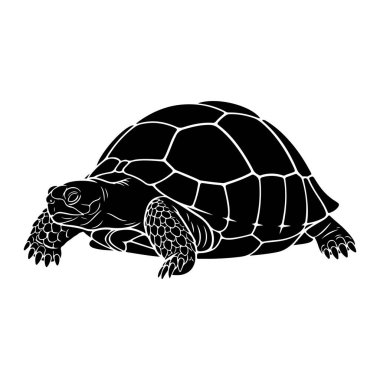Kaplumbağanın siyah beyaz çizimi. Kaplumbağa, sola bakan bir profilden resmedilmiş. Kabuğu beyaz çizgilerle segmentlenmiş ve ölçekli bir kalıp oluşturuyor. Kafa ve bacaklar da pullar ve pençelerle detaylandırılmıştır. Tüm görüntü bir si.