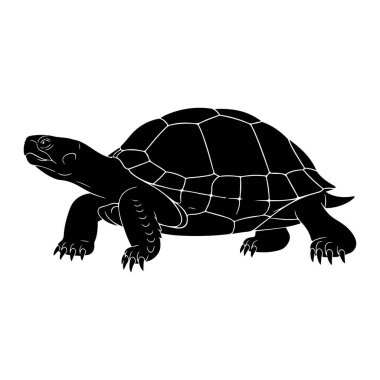 Beyaz arka planda siyah bir kaplumbağa silueti tasvir edilir. Kaplumbağa profilde, yüzü sola dönük, kafası uzamış ve dört bacağı sanki yürüyormuş gibi açılır. Kabuk belli ki segmentli modellerle tanımlanıyor. Pençelerini tak