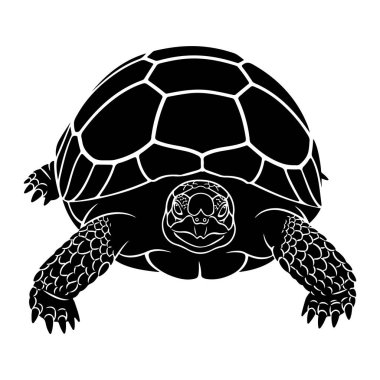 Beyaz arka planda siyah bir kaplumbağa silueti tasvir edilir. Kaplumbağaya önden bakılır, başı hafifçe yukarıda ve uzuvları geniştir. Kabuk belirgin bir şekilde altıgen segmentlerin geometrik deseni ile özetlenmiştir.