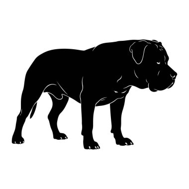 Kaslı bir köpeğin siyah silueti beyaz bir arkaplan karşısında duruyor. Köpek güçlü bacakları, geniş bir göğsü ve kararlı bir ifadeyle tasvir edilir. Beyaz çizgiler, güçlü yapısını vurgulayarak, vücudunun hatlarını vurgular..