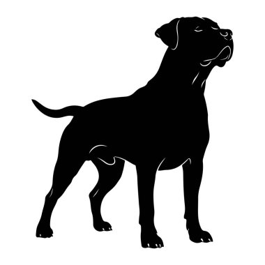 Kaslı bir köpeğin siyah silueti beyaz arka planda tetikte bekliyor. Köpek profilinde başı dik ve gözleri kapalı bir şekilde tasvir edilir. Bu da bir anlık tefekkür ya da gurur anı olduğunu gösterir. Geniş çizgisi de dahil olmak üzere, güçlü yapısının ana hatları.