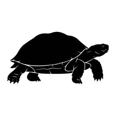 Beyaz arka planda siyah bir kaplumbağa silueti tasvir edilir. Kaplumbağa profilde, başı açık ve dört bacağı görünür bir şekilde yürüyor. Kabuğunun ve gövdesinin dış hatları net bir şekilde tanımlanmıştır.
