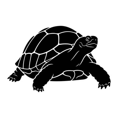 Beyaz arka planda siyah bir kaplumbağa silueti tasvir edilir. Kaplumbağa profil olarak gösterilir, yüzü sağa dönük, başı açılır ve bacakları öne doğru yürüyormuş gibi konumlandırılır. Kabuğun segmentli bir şekli ve bacakları var.