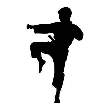 Dövüş sanatları üniforması içinde dinamik bir duruş sergileyen siyah bir siluet. Şekil, bir bacağı havada, diğeri gövdeyi destekleyen bir hareketle orta seviyede yakalanır. Siluet düz beyaz bir arkaplan üzerinde titizlikle durmaktadır.