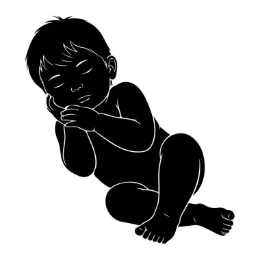 Beyaz arka planda uyuyan bir bebeğin siyah silueti tasvir edilir. Bebek gözleri kapalı ve elleri yüzünün yanında dinlenerek yan yatmaktadır. Bebeğin şeklinin ana hatları açıkça belirtilmiş ve hassas özelliklerini gözler önüne seriyor.