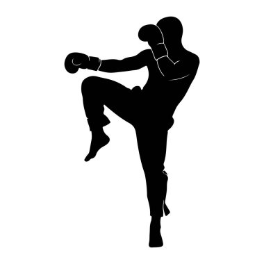 Dinamik dövüş pozisyonu almış siyah bir siluet, tekme atıyor. Rakam boks eldiveni giyer ve bir bacağı dizinden yukarı ve eğilmiş, diğer bacağı ise gövdeyi destekliyor gibi görünmektedir. Siluet, Stark Aagai.