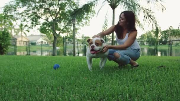Slow motion of a woman playing with an American Bulldog in backyard — Stock Video