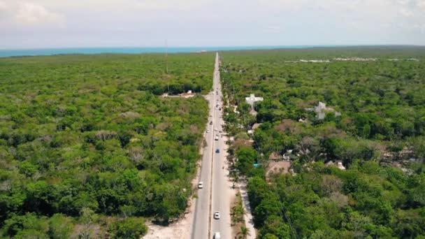 Antenn skott över grönska och road i Tulum, Mexiko — Stockvideo