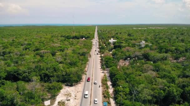 Aerial shot of road and greenery in Tulum, Mexico — Stock Video