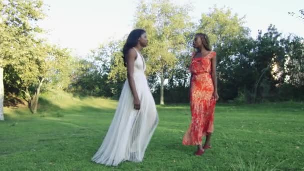 Zeitlupe Orbitalschuss Zwei Afrikanisch Amerikanische Frauen Die Mitten Einem Park — Stockvideo