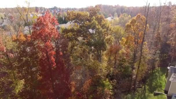 Luftaufnahme Der Ländlichen Gegend Norden Carolinas Während Der Herbst Herbst — Stockvideo