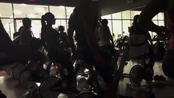 Silueta Grupo Personas Que Estiran Pedalean Durante Una Clase Spinning — Vídeos de Stock