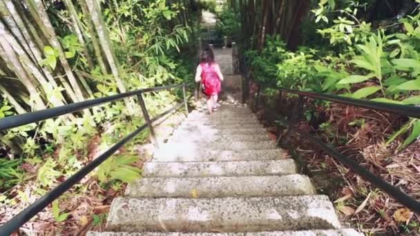 熱帯雨林でハイキングしながら階段を降りてハイキング少女の後ろからのショット — ストック動画