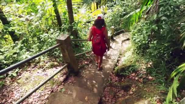 从后面的一个女孩走下楼梯在雨林 — 图库视频影像