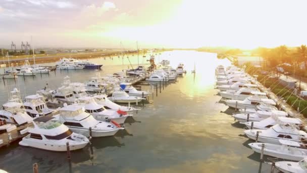 Letecký Snímek Mnoha Čluny Jachty Zaparkované Přístavu Při Západu Slunce — Stock video