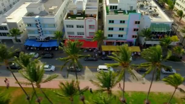 Overdag Aerial Pan Shot Auto Bedrijven Palmbomen Ocean Drive South — Stockvideo