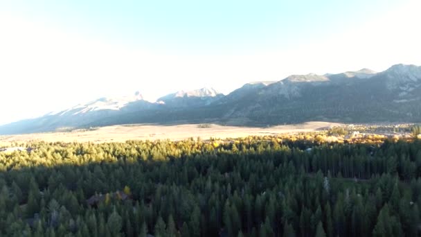 Daytime Aerial Shot Moving Mountains Greenery Houses Mammoth Lakes California — Stock Video