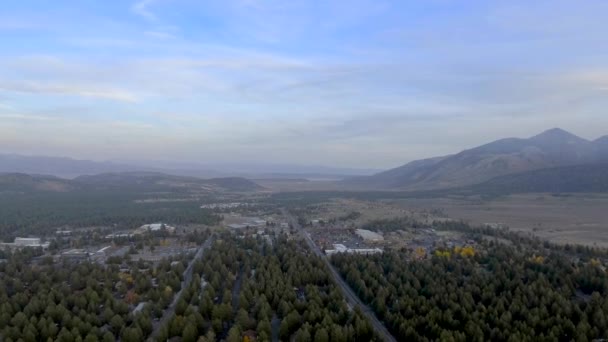 Dzienne Lotnicze Strzał Mammoth Lakes Kalifornii Który Pokazuje Wiele Zieleni — Wideo stockowe