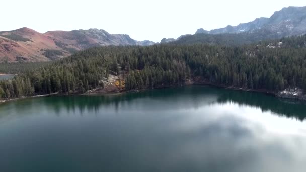 캘리포니아 매머드 레이크의 크리스탈 레이크에서 호수의 녹지와 주변을 둘러싸고 있습니다 — 비디오