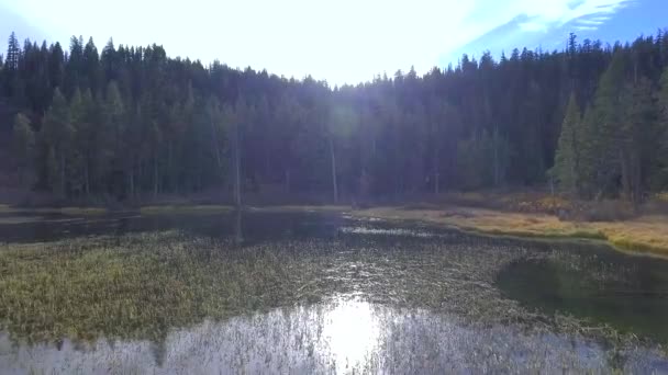 Overdag Lage Hoogte Luchtfoto Schot Meer Richting Bomen Mammoth Lakes — Stockvideo