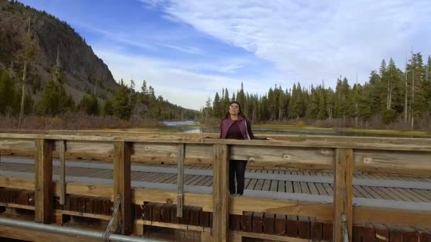 マンモス湖の湖の眺めを楽しむ橋の中に立っている女性の昼間の空中写真 — ストック動画