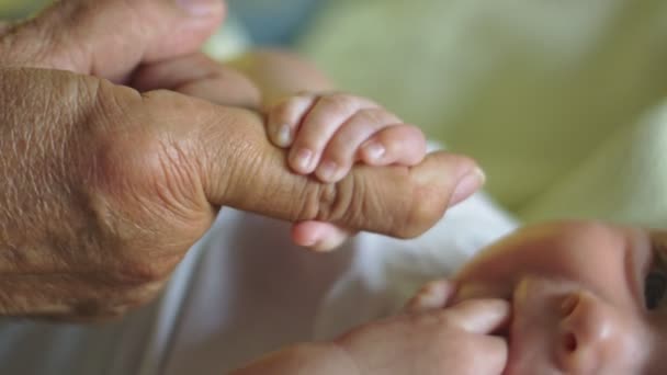 Close-up van baby houden grootvaders vinger in slow motion — Stockvideo