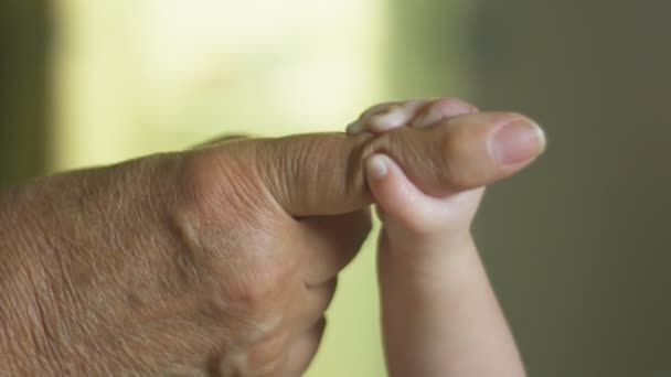 Slow Motion van baby houden haar grootvaders vinger — Stockvideo
