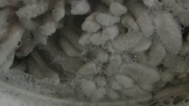 Close-up in slow motion of a rug inside spinning washing machine — Stock Video