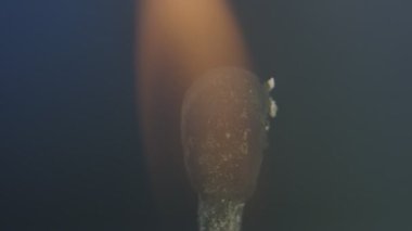 Siyah arkaplanlı yanma eşleşmesinin makro yakın plan çekimi