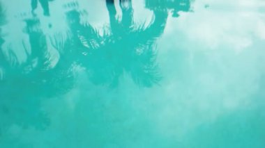 Palmiye ağaçlarının makro görüntüsü havuz suyuna yansıyor