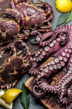 Deniz ürünleri ahtapot. Bütün taze çiğ ahtapot ve limon ve defne, gri kayrak arka plan, ahşap tahta üzerinde yengeç görünümü top.