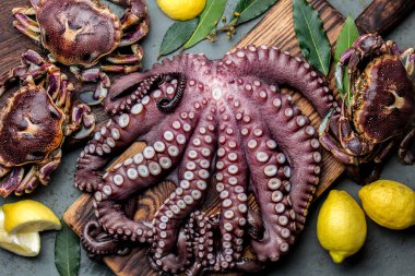 Deniz ürünleri ahtapot. Bütün taze çiğ ahtapot ve limon ve defne, gri kayrak arka plan, ahşap tahta üzerinde yengeç görünümü top.