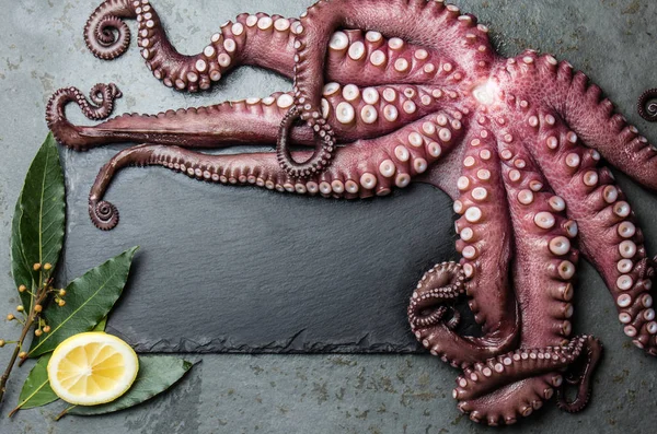 Octopus. Food background with seafood raw fresh octopus, laurel and lemon. copy space, gray slate background. Octopus, laurel and lemon around black slate board. Top view.