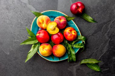 Şeftali ağacı ile taze olgun şeftali mavi tabak, üstten görünüm bırakır.