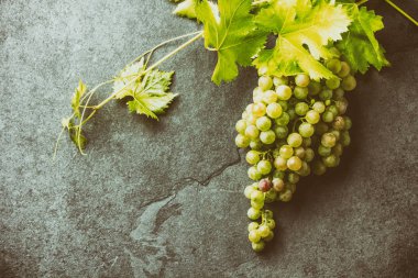 Şarap üzüm ve tirbuşon kavramı, taş arka plan, üstten görünüm.