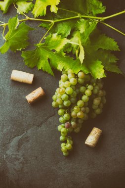 Şarap üzüm ve tirbuşon kavramı, taş arka plan, üstten görünüm.