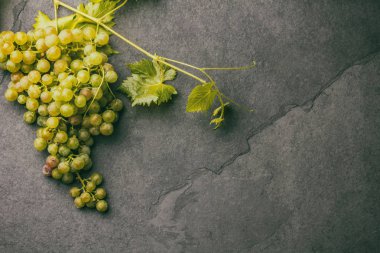 Şarap üzüm ve tirbuşon kavramı, taş arka plan, üstten görünüm.