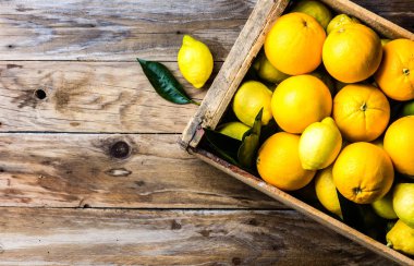 Taze narenciye limon ve portakal yaprakları ile kutu. Üstten görünüm. Hasat kavramı, kopya alanı