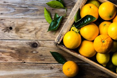 Taze narenciye limon ve portakal yaprakları ile kutu. Üstten görünüm. Hasat kavramı, kopya alanı