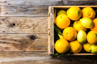 Taze narenciye limon ve portakal yaprakları ile kutu. Üstten görünüm. Hasat kavramı, kopya alanı